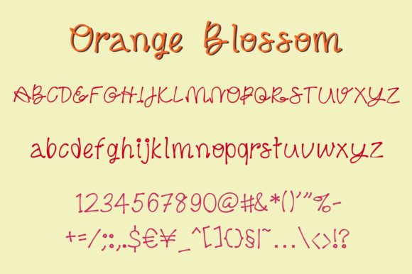 Orange Blossom Font Poster 7