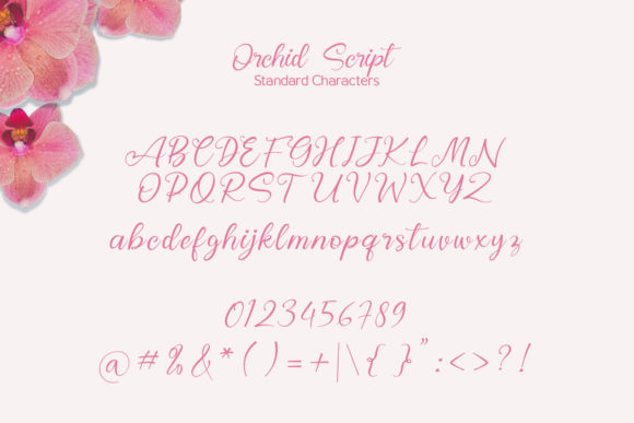 Orchid Font Poster 9