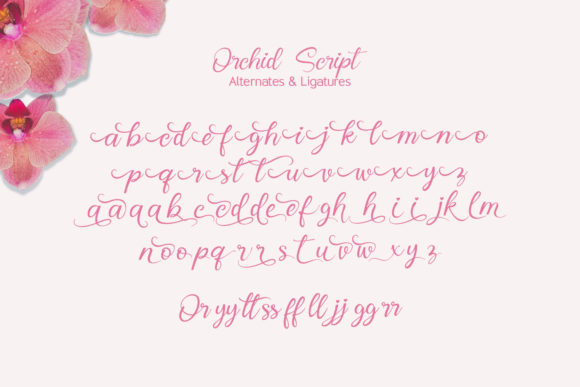 Orchid Font Poster 10