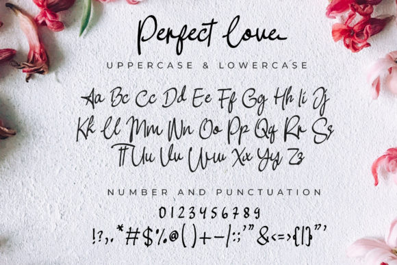 Perfect Love Font Poster 7