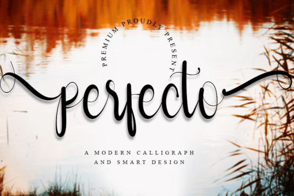 Perfecto Font Poster 1