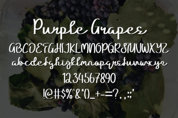 Purple Grapes Font Poster 5