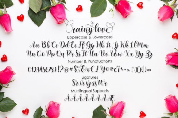 Rainy Love Font Poster 4