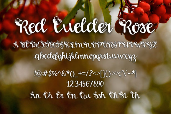Red Guelder Rose Font Poster 2