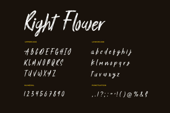 Right Flower Font Poster 5