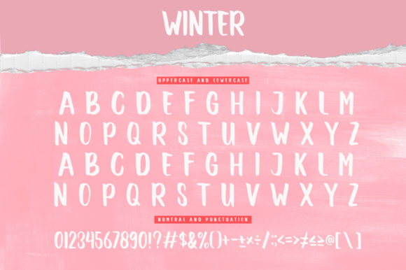 Romantic Winter Font Poster 7