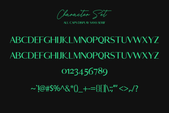 Rosletta Font Poster 9