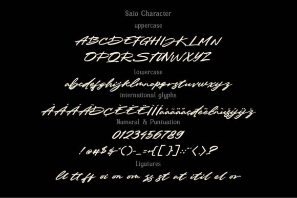 Saio Font Poster 6