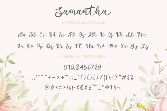 Samantha Font Poster 12