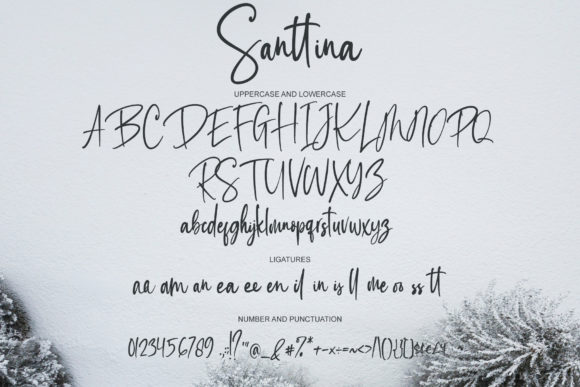 Santtina Font Poster 8