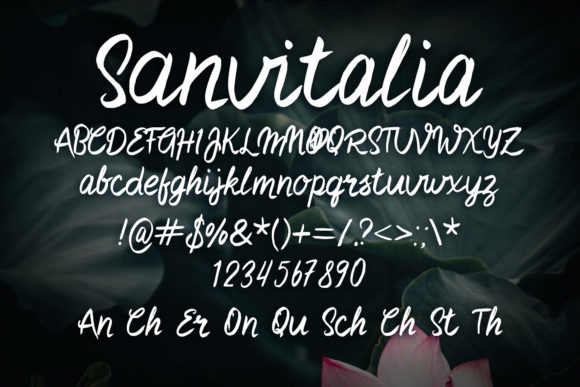Sanvitalia Font Poster 2