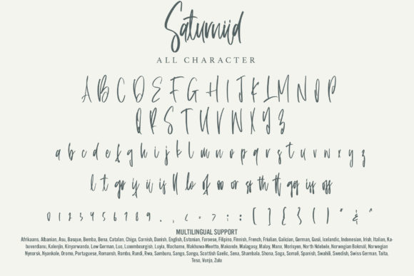 Saturniid Font Poster 7