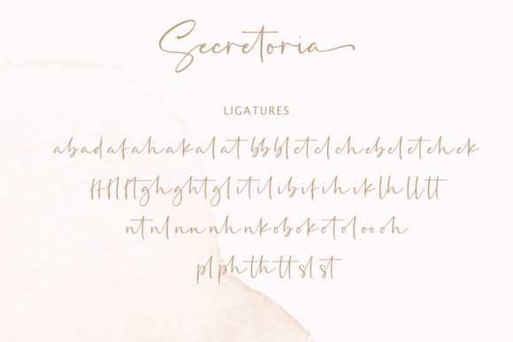 Secretoria Font Poster 13