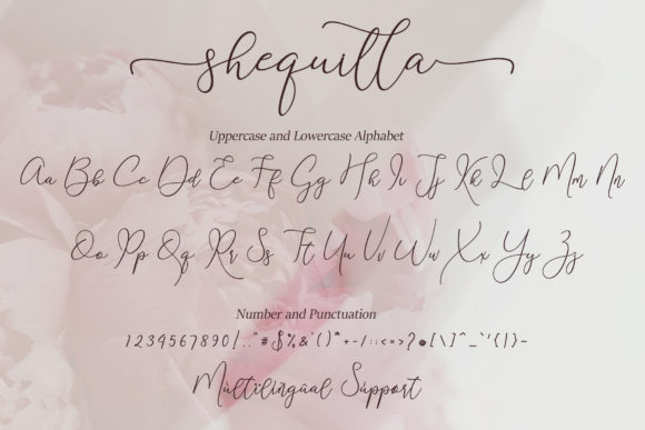 Shequilla Font Poster 7