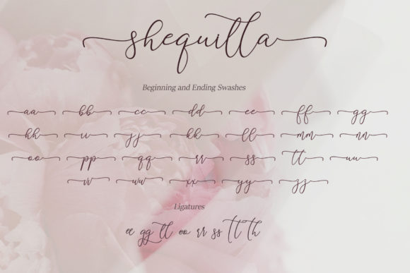 Shequilla Font Poster 8