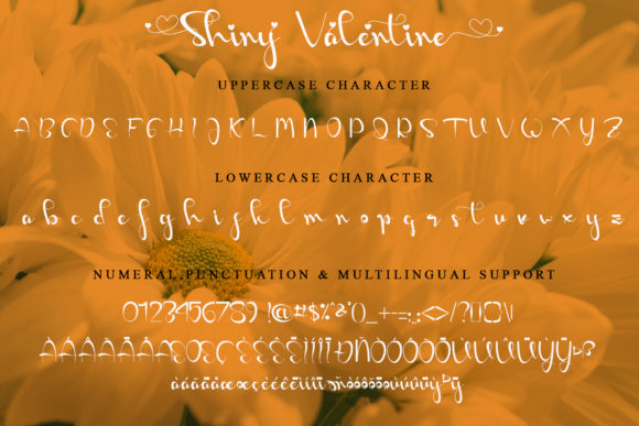 Shiny Valentine Font Poster 6