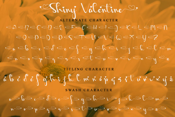 Shiny Valentine Font Poster 7