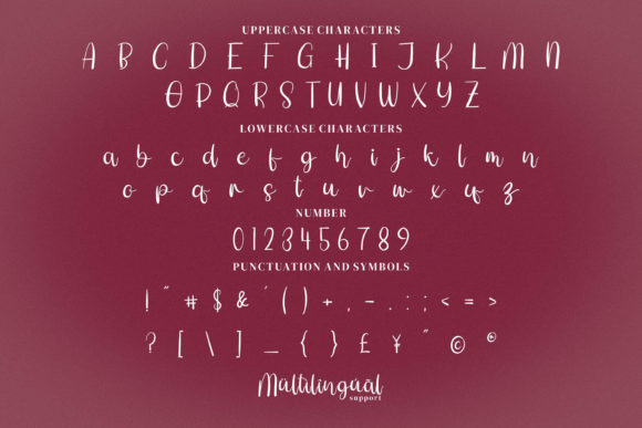 Shitti Beauty Font Poster 5