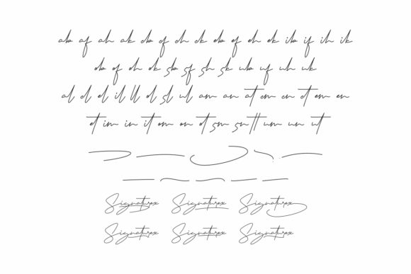 Signaturex Font Poster 7