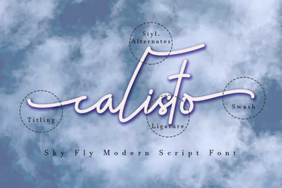 Sky Fly Script Font Poster 8