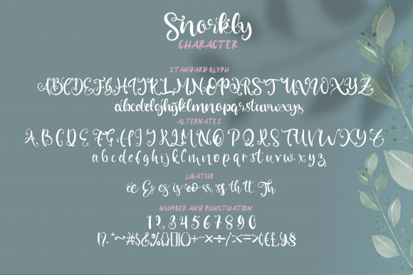 Snorkly Font Poster 2