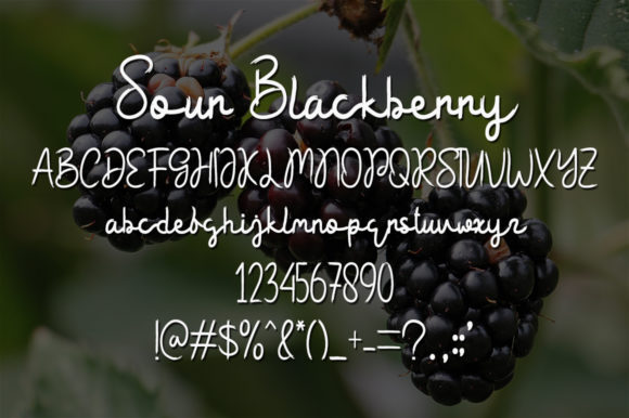 Sour Blackberry Font Poster 5