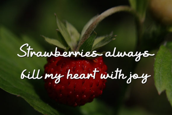 Sour Strawberry Font Poster 3