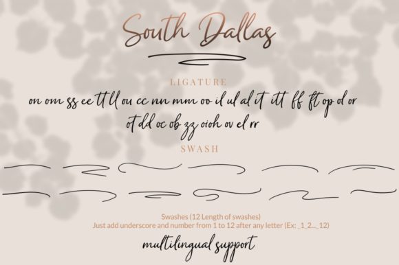 South Dallas Font Poster 12