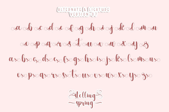 Stelling Spring Font Poster 11