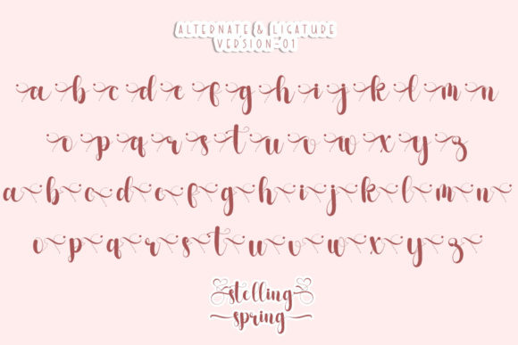 Stelling Spring Font Poster 5
