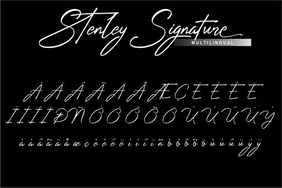Stenley Signature Font Poster 3