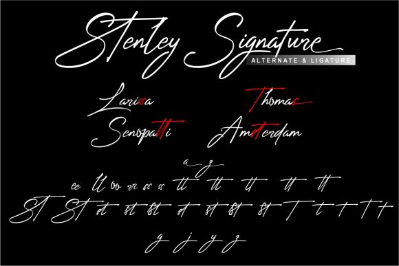 Stenley Signature Font Poster 4