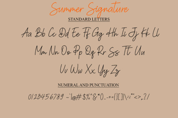 Summer Signature Font Poster 5