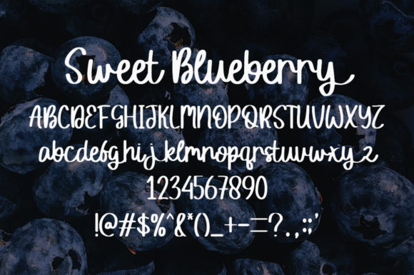 Sweet Blueberry Font Poster 4
