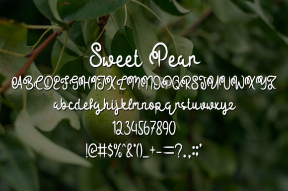 Sweet Pear Font Poster 5