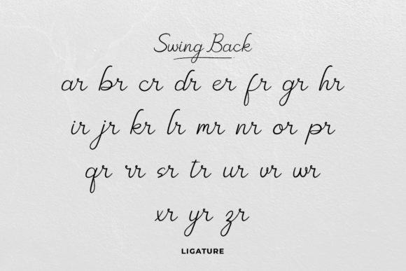 Swing Back Font Poster 5