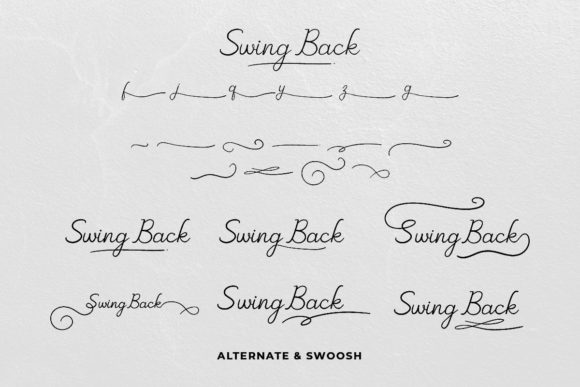 Swing Back Font Poster 7