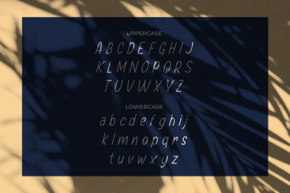 Swordfish Font Poster 8