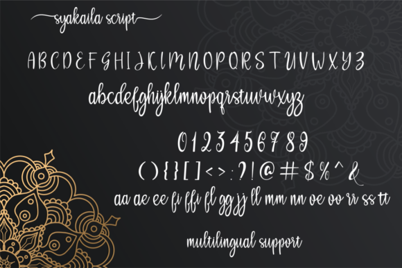 Syakaila  Font Poster 3