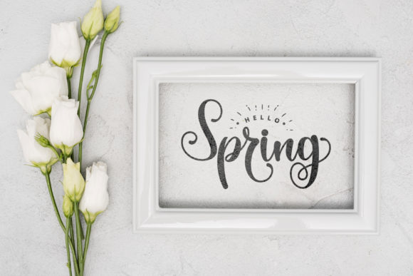 The Spring Font Poster 5