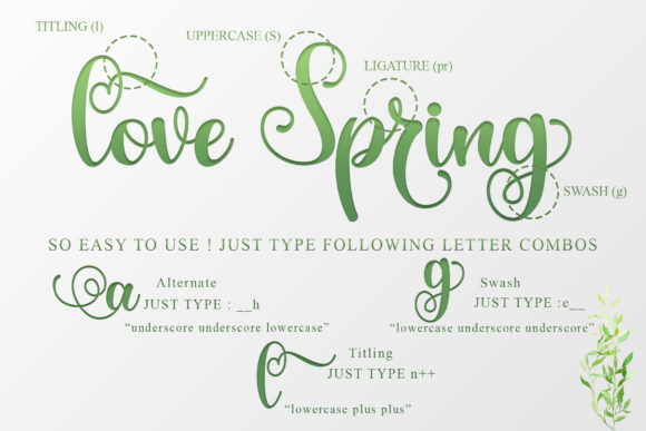 The Spring Font Poster 10