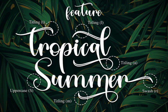 Tropical Leaves Font Poster 8