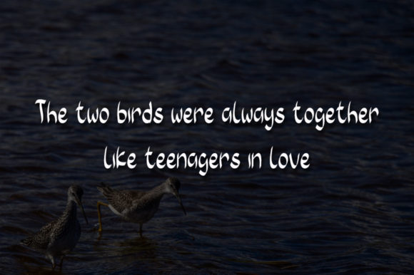 Twin Birds Font Poster 3