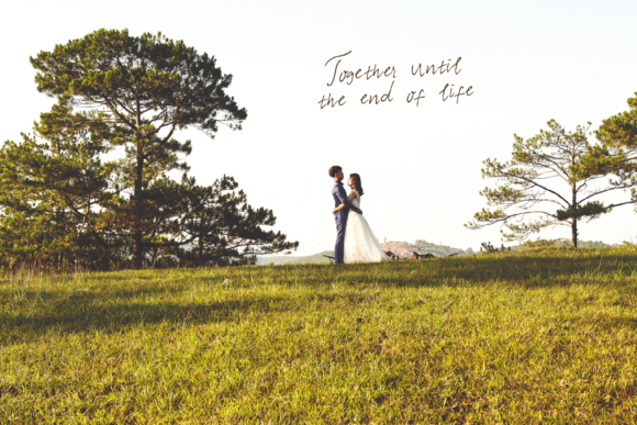 Wedding Song Font Poster 9