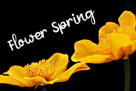 Welcome Spring Font Poster 2