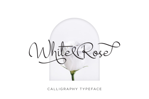 White Rose Font Poster 2