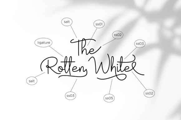 White Rose Font Poster 7