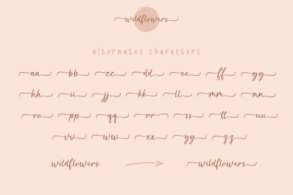 Wildflower Font Poster 7