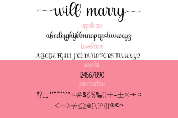 Will You Marry Me Font Poster 4