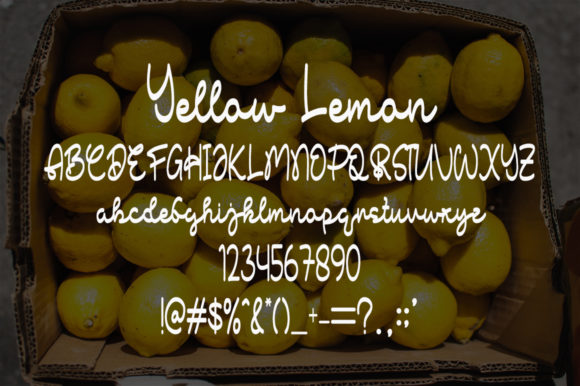 Yellow Lemon Font Poster 5